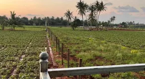 thurai guest house - Image 5