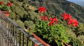 “Sa Scala” Bed&Terrace - Image 5