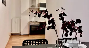 Apartment Linz Denkstraße - Image 4