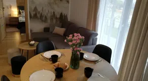 Apartament Grapa 29 K3 na terenie Sun & Snow Białka Tatrzańska - Image 5