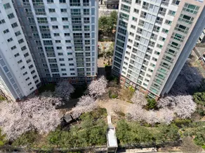 Seoul Loft - Image 5
