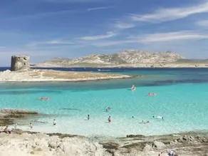 Located a few hundred metres from one of the most beautiful beaches in the world - Image 5