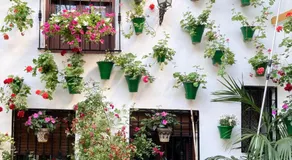 Apartamentos El Olivo - Image 2