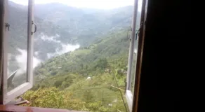 Magnolia Homestay - Image 2