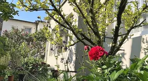 Stadtoase Koblenz - Image 4
