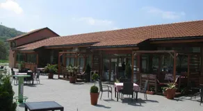 6 topola - Image 3