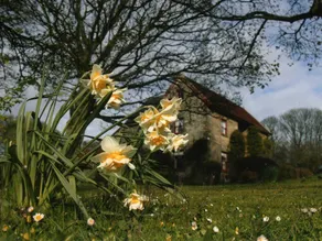 High Farm Bed & Breakfast - Image 2