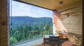 Edelweiss Ferienwohnung, Las Fluras Alpine Penthouse - Image 3