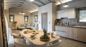 Alekos Beach Houses-Elia Villas - Image 2