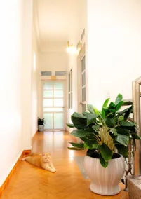 Lazy Cat Homestay - Motorbikes Rental & Tours - Image 3