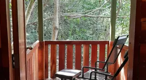 Utan Teluk Nipah - Image 5