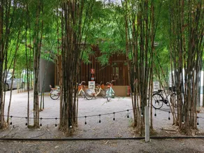 Rest Time Bamboo - Image 5