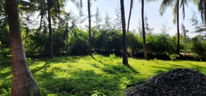 Coco paradise bamboo - Image 3