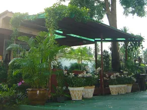 Coconut Home Resort - Image 3