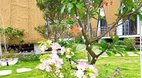 Mia's Homestay - Image 3