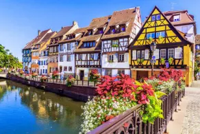 Bienvenue en Alsace - Image 4