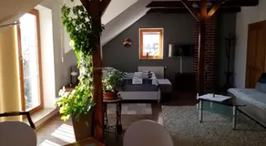 Green Apartment - Image 2