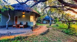 Sefapane Lodge and Safaris - Image 4