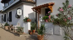 Il Sartore - Image 4