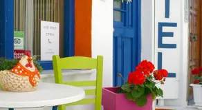 Viva Margarita - Image 4