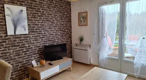 Cottage avec terrasse privative à 15 km d'Orléans - Image 2