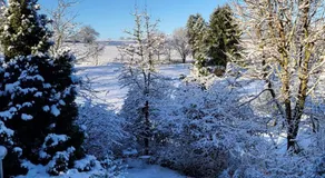 Taunusglück - Image 4