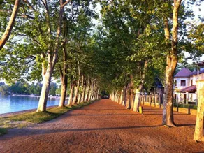 BF Hotel - Image 5