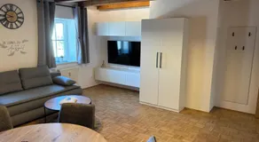 Köpplmühle Apartment im Herzen von Freistadt - Image 2