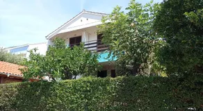 Apartments Pero - Image 4