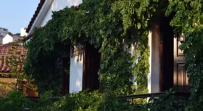 Pension Felippe - Image 4