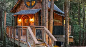 Enchanted Evergreen - Image 3