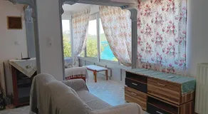 Pansofia - Image 2
