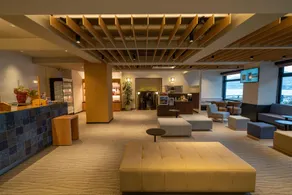New Tomiyoshi - Image 4