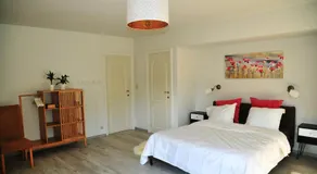 Boslucht Leuven - Image 2