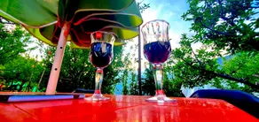 Organic Stays Manali - Image 4