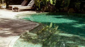 Pausa Trancoso - Image 2