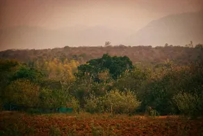 The Wild Farms By Gwestai - Image 5
