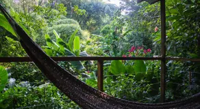 El Tucan Jungle Lodge - Image 5