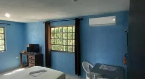 Casa Azul - Image 4