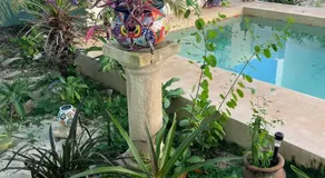 El Oasis - Image 3