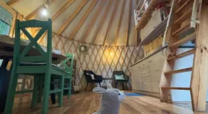 FORGLAMP - Image 3