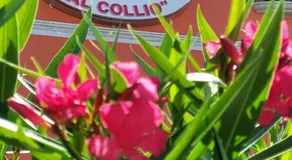Hotel AL COLLIO - Image 4
