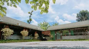 The Rain Tree resort - Image 5