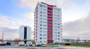 City view, bright & cozy - Free parking (A4) - Image 3