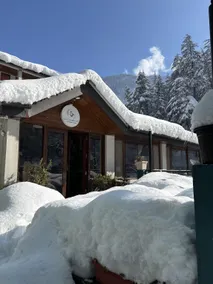 Hotel Neelgiri - Manali Diaries - Image 5