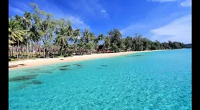 Mateoasis - Image 3