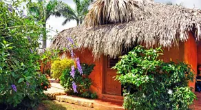 Solazul - Image 3