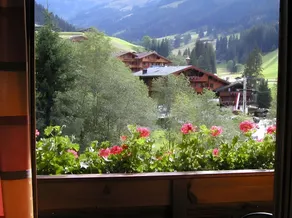 Andreas Apartment im Landhaus Moser - Image 3