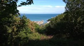 West Looe Downs - Image 4