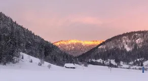 Forest Apartment-Mountain Escape Menzenschwand - Image 4